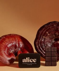 Alice Mushrooms NightCap Chocolate