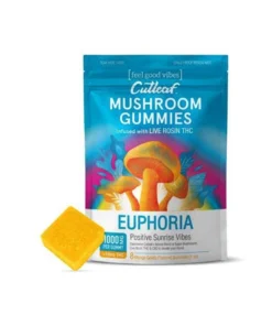 Sunrise Mango Gelato Cutleaf Euphoria Mushroom Gummies 1000mg