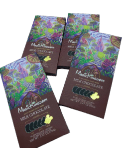 Magic Kingdom Chocolate Bar