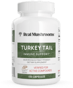 Turkey Tail Mushroom Capsules