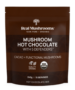 Mushroom Hot Chocolate Mix