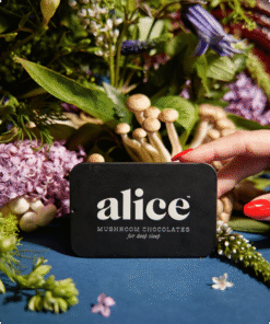 Alice Mushrooms NightCap