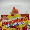 Shroomburst Gummies – Assorted fruit-flavored mushroom gummies in a colorful pouch