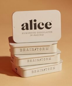 Alice Mushrooms Brainstorm Chocolate