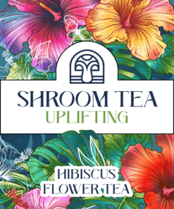 Magic Mushroom Tea – Chamomile – Herbal mushroom tea bags with calming ingredients