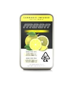 MOON Bar Edible –  Citrus Mints